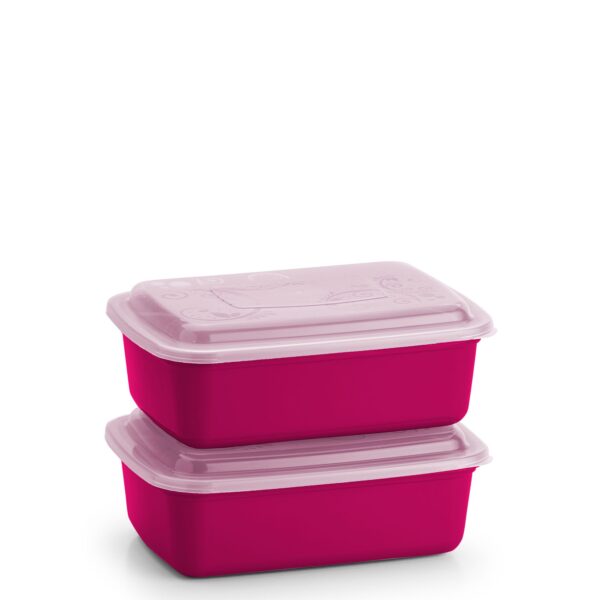 Cj. 2G Potes Retangular - Color - Imagem 3