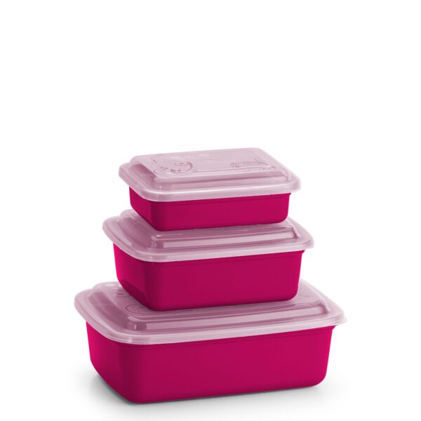 Cj. Pmg Potes Retangular - Color - Imagem 2