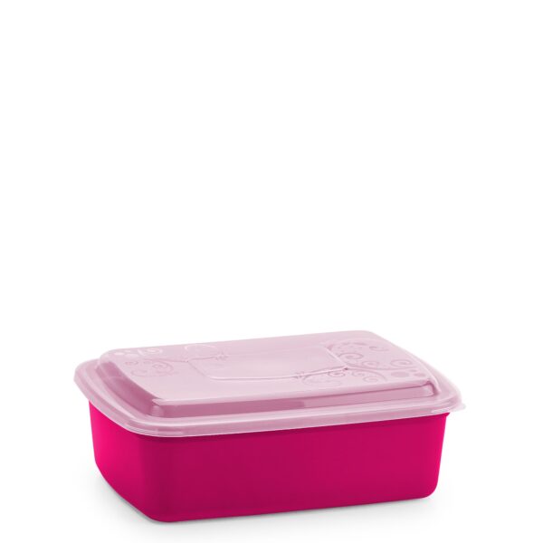 Pote Retangular Grande 1,8 Litros - Color