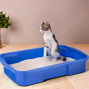 LIMPEZA PET